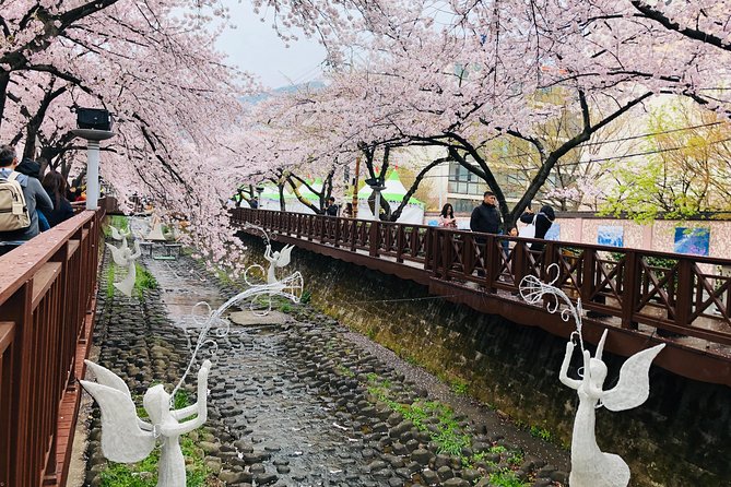 Jinhae Cherry Blossom and Busan Sunrise Tour From Seoul - Tour Highlights