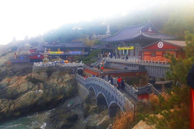 Jinhae Cherry Blossom and Busan Sunrise Tour From Seoul - Gyeonghwa Station