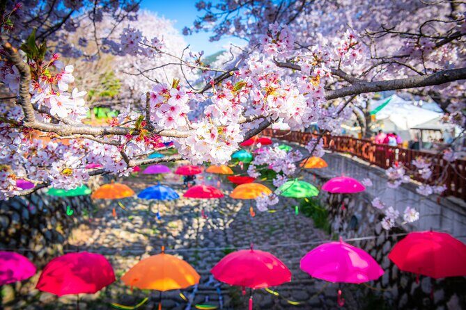 Jinhae Cherry Blossom Festival Gyeonghwa Stn Day Tour from Busan - A Detailed Look at the Tour Itinerary