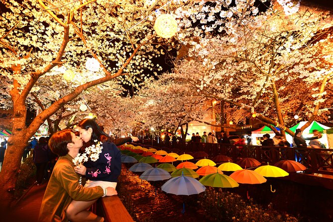 Jinhae Cherry Blossom Festival Tour - Common Questions