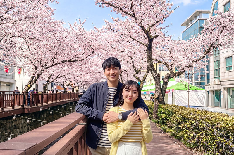 Jinhae Cherry Blossom Tour from Seoul - At a glance: two blossom stops, one long day
