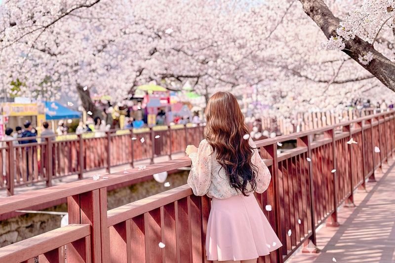 Jinhae Cherry Blossom Tour from Seoul - The bus ride: convenience in exchange for hours
