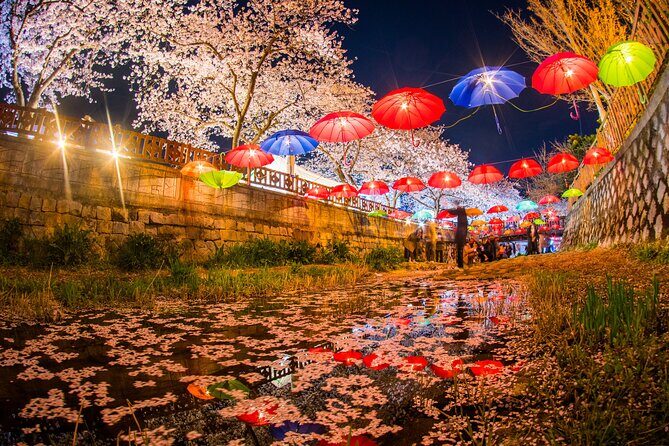 Jinhae Gunhangje Night Tour - Exploring the Itinerary in Detail