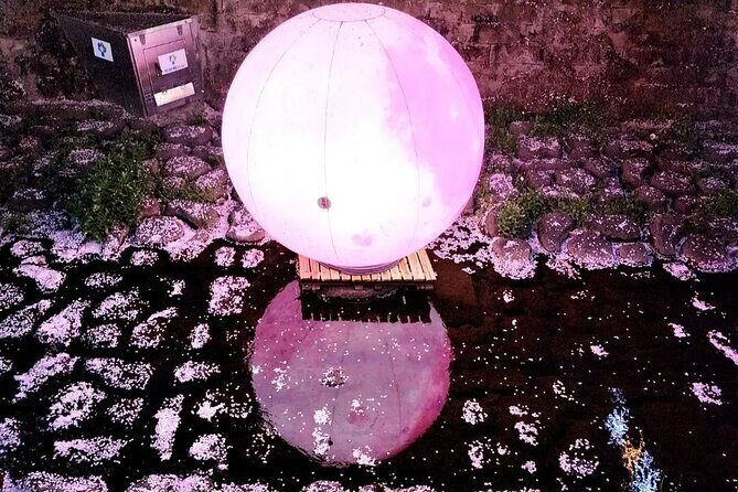 Jinhae Gunhangje Night Tour - Final Thoughts