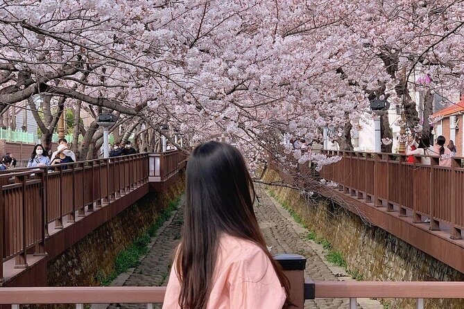 Jinhae Pink Cherry Blossom One Day Tour From Busan - FAQ