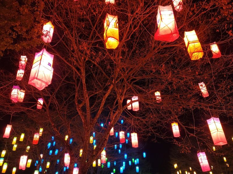 Jinju Namgang Yudeung Festival Tour from Busan - Lanterns at Jinju Castle and Namgang River