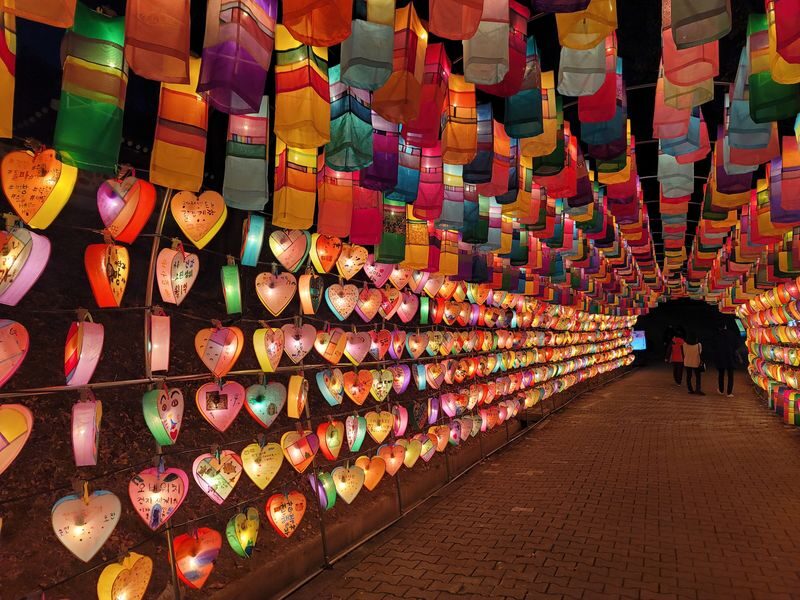 Jinju Namgang Yudeung Festival Tour from Busan - Should you book the Jinju night tour?