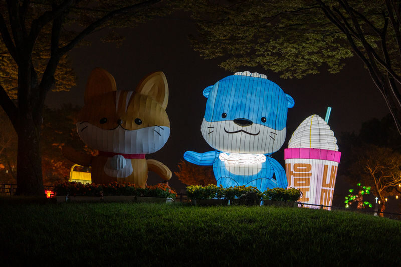 Jinju Namgang Yudeung (Lantern) Festival Ticket & Experience - The river becomes the main attraction after dark