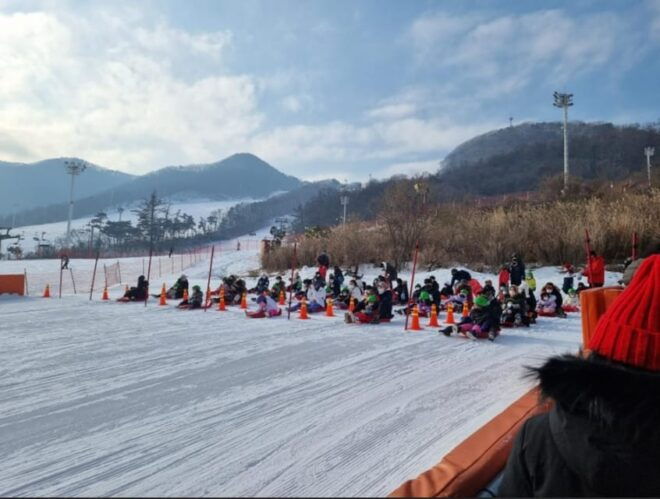 Jisan Forest Resort_ Snow Sled Day Tour - Accessibility and Restrictions