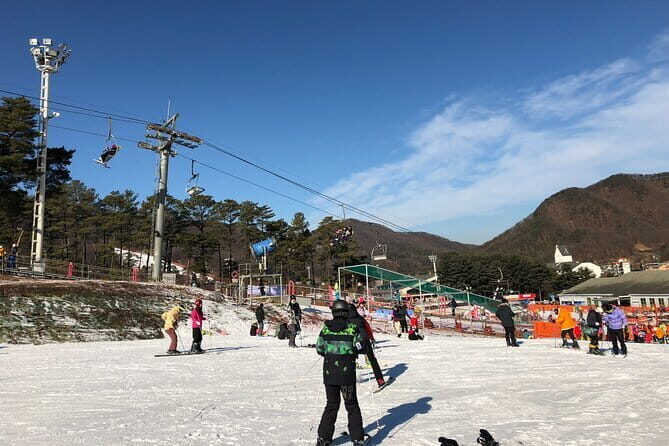 Jisan Forest Ski Resort and Everland 1 Day Tour - A Deep Dive into the Tour Experience