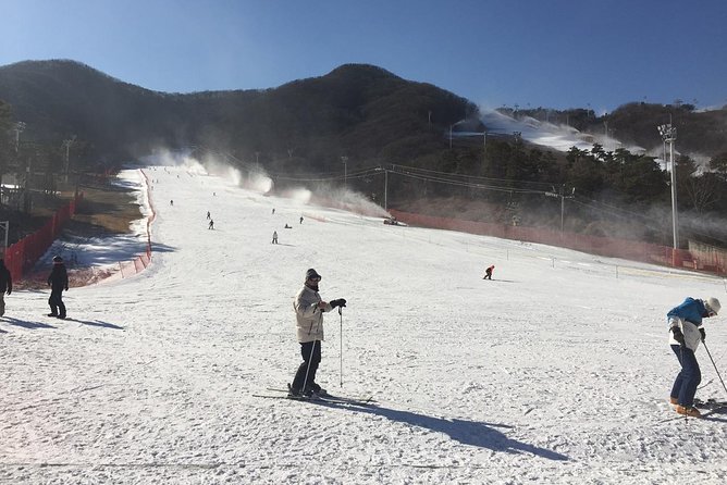 Jisan Forest Ski Resort One Day Tour With Basic Lesson - Cancellation Policy