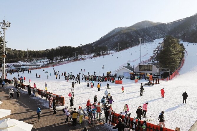Jisan Forest Ski Resort One Day Tour With Basic Lesson - What to Expect on the One Day Tour