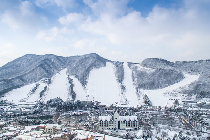 Jisan Forest Ski Resort One Day Tour With Basic Lesson - Basic Lesson and Skiing Options