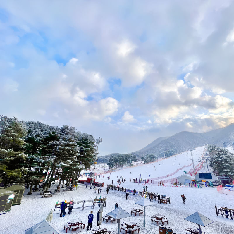 Jisan Forest Ski & Snowboard Day Tour from Seoul - Five hours of free time, with an important pass choice