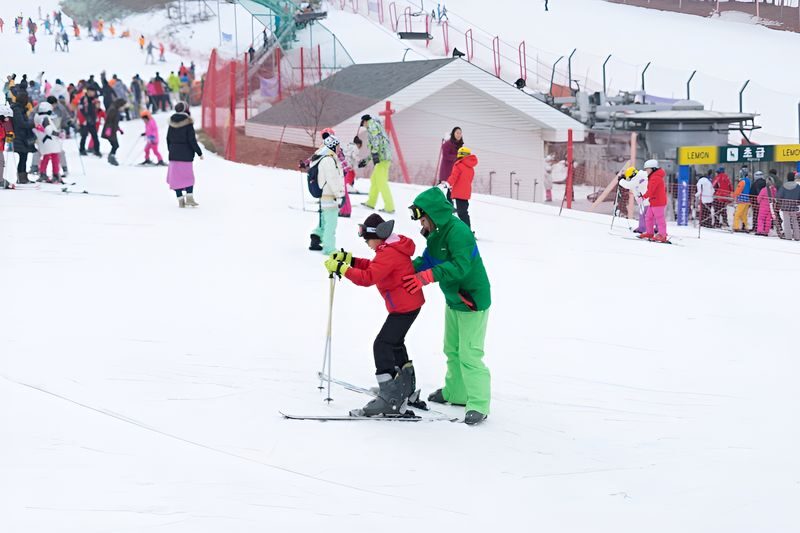 Jisan Forest Ski & Snowboard Day Tour from Seoul - Who will get the most from this day