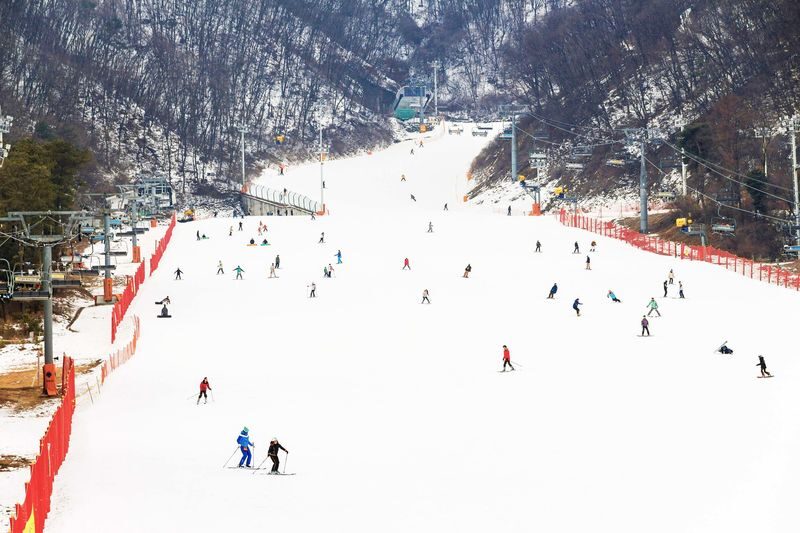 Jisan Forest Ski & Snowboard Day Tour from Seoul - Practical checks before you book
