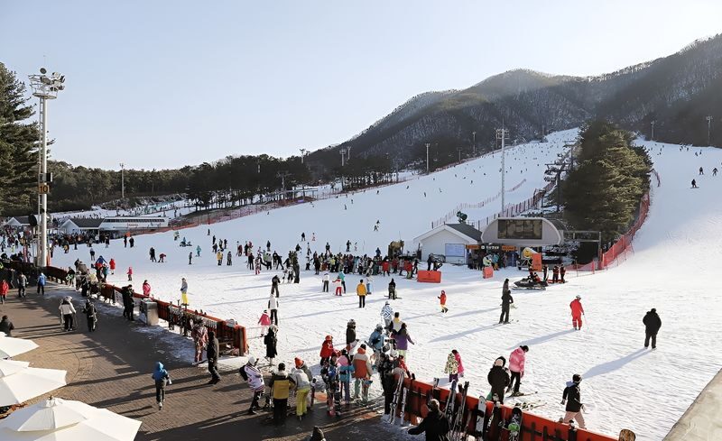Jisan Forest Ski & Snowboard Day Tour from Seoul - Should you book the Jisan day tour?