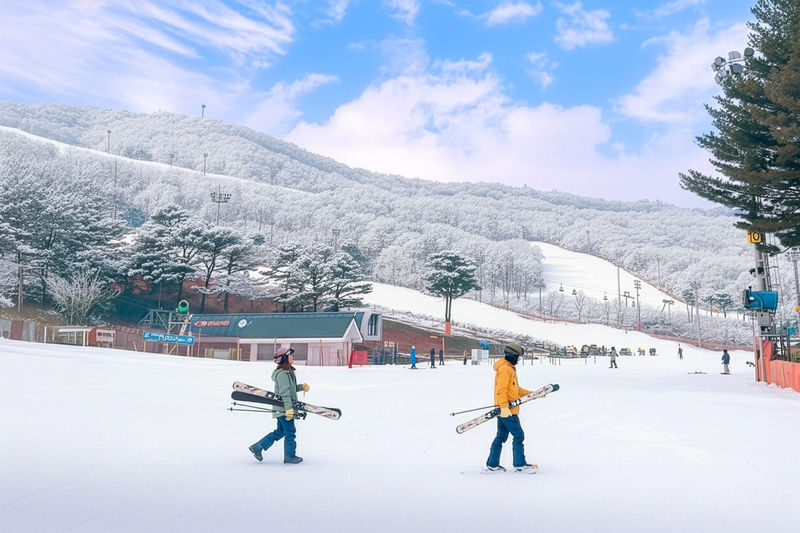Jisan Ski & Everland Full-Day Winter Experience - A morning on Jisan’s beginner slopes