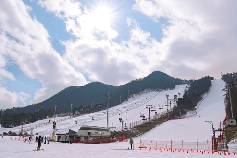 Jisan Ski & Everland Full-Day Winter Experience - Seoul pickups and the day’s rhythm