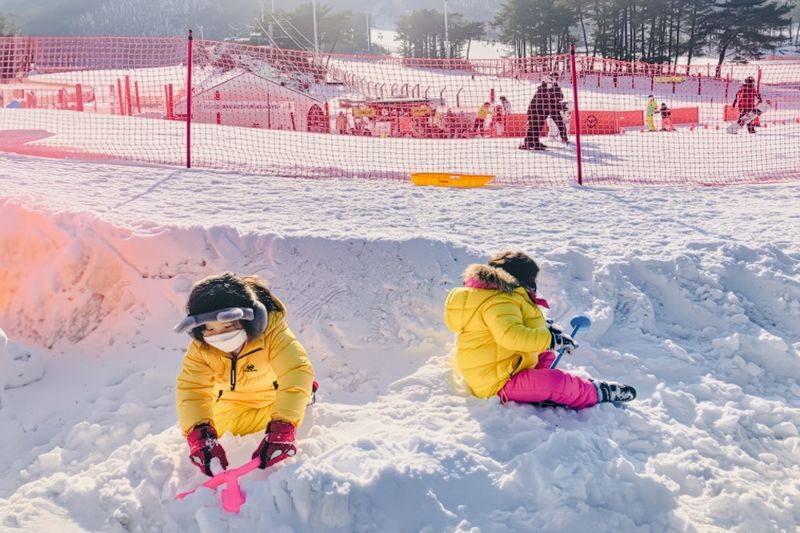 Jisan Ski & Everland Full-Day Winter Experience - Who will get the most from this day
