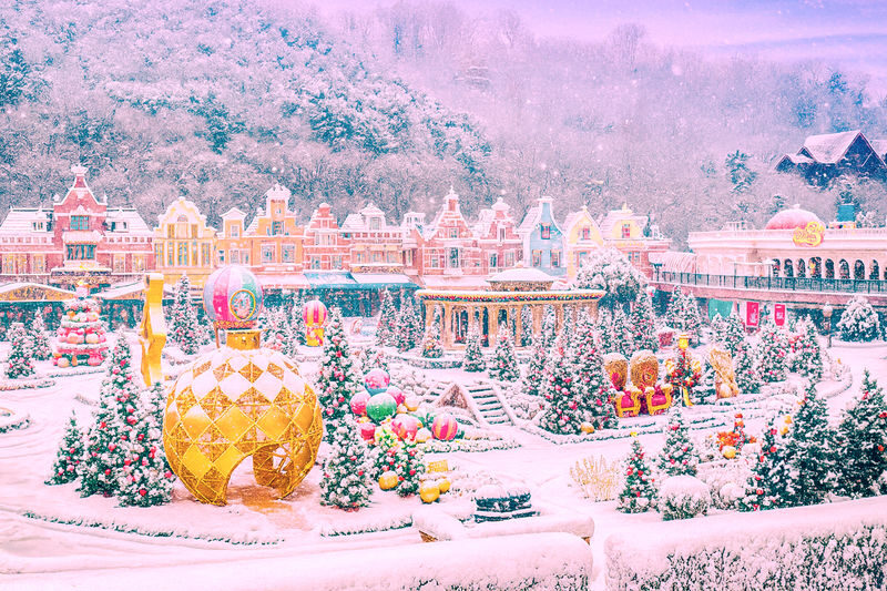 Jisan Ski & Everland Full-Day Winter Experience - Should you book the Jisan and Everland day trip?