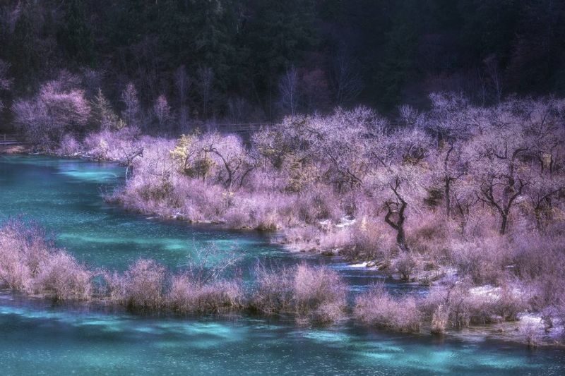 Jiuzhaigou Scenic Area - Riding the shuttle: efficient, but follow the right route
