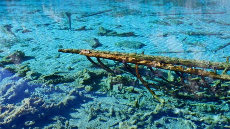 Jiuzhaigou Valley: UNESCO Colorful Lakes & Tibetan Village - Final Thoughts