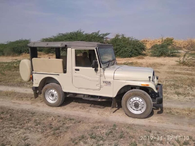 Jodhpur Bishnoi Village Safari With Meal - A Day Tour - The Sum Up