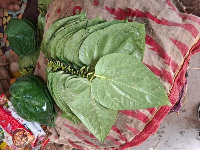 Jodhpur Blue City Heritage Walking Tour - Who Will Enjoy This Tour?