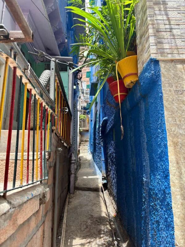Jodhpur: Blue City Heritage Walking Tour with Guide - What to Expect from the Heritage Walk