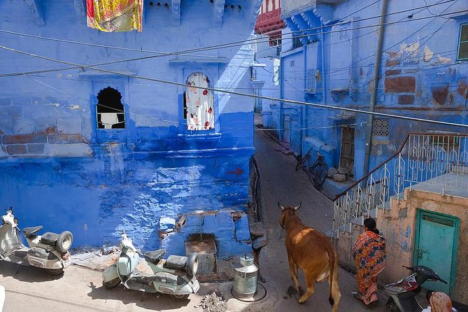 Jodhpur Blue City Tour - Pricing Details