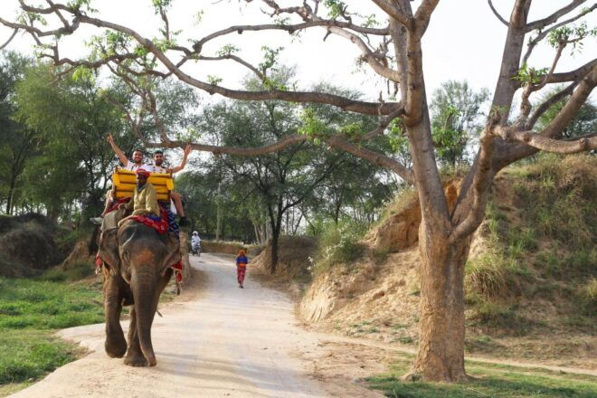 Jodhpur: Blue City Walking Tour - Location and Category