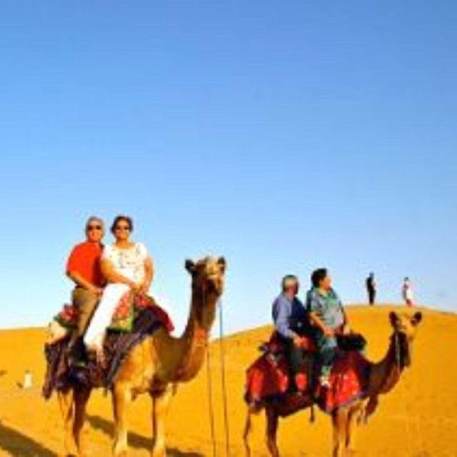 Jodhpur Camel & Jeep Safari with Sunset, Folk Dance, Dinner - A Deep Dive into the Desert Experience