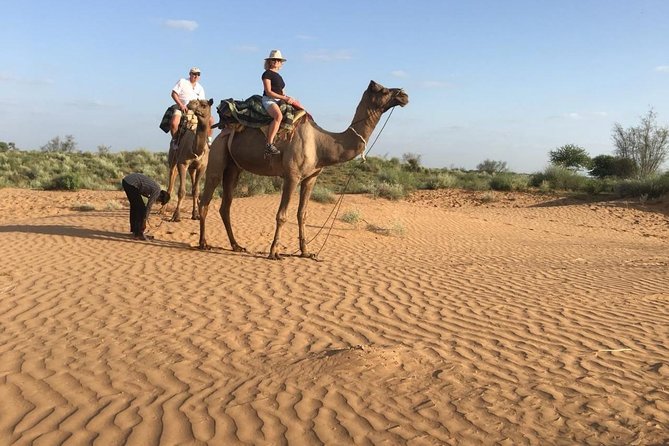 Jodhpur Camel Safari & Jeep Safari In Desert Jodhpur SR - Pricing and Booking Information