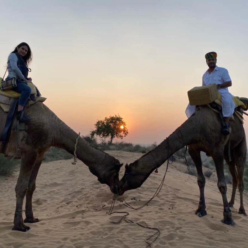 Jodhpur Camel Safari & Overnight Stay In Desert With Sumer - The Sum Up