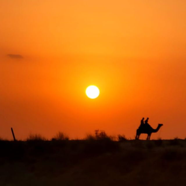 Jodhpur Camel Safari With Traditional Food With Sumer - Private Group Experience