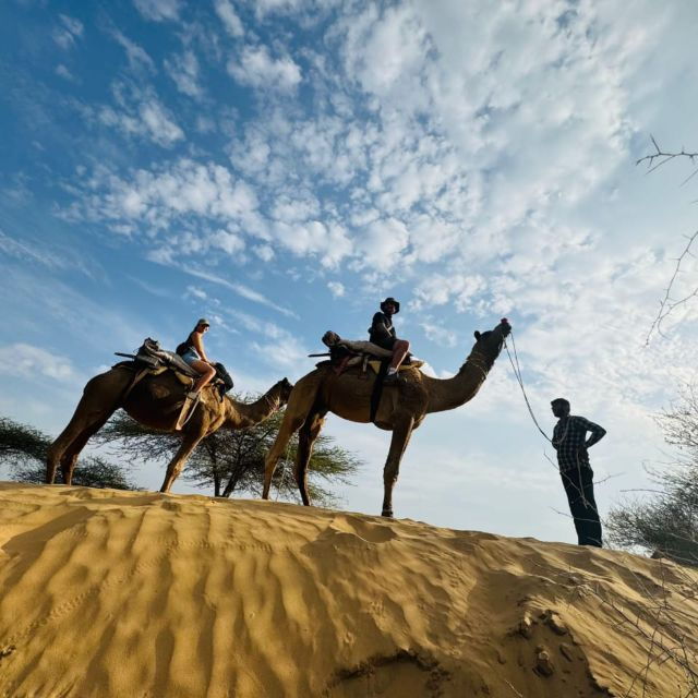 Jodhpur Camel Safari With Traditional Food With Sumer - Tour Description
