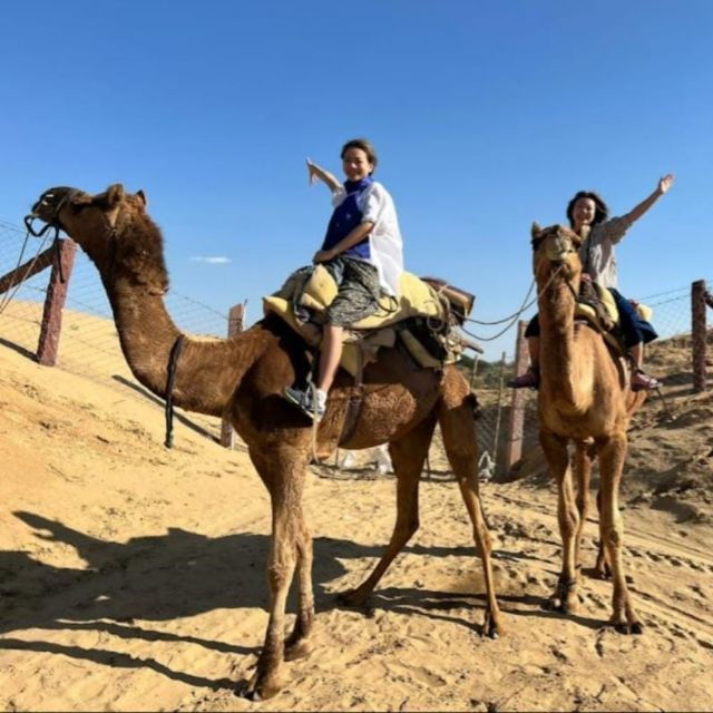 Jodhpur Desert Camel Safari& JeepSafari With Food With Sumer - Experience Highlights