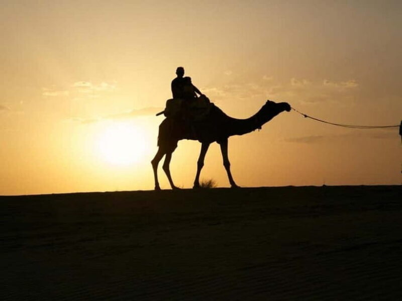 Jodhpur : Jeep Safari, Camel Ride,Buffet Dinner & Folk Dance - Good To Know