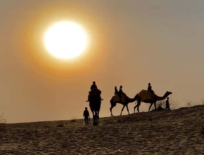 Jodhpur : Jeep Safari, Camel Ride,Buffet Dinner & Folk Dance - FAQ