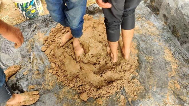 Jodhpur: Learn Natural Building- Creating Homes With Mud - Transportation Information
