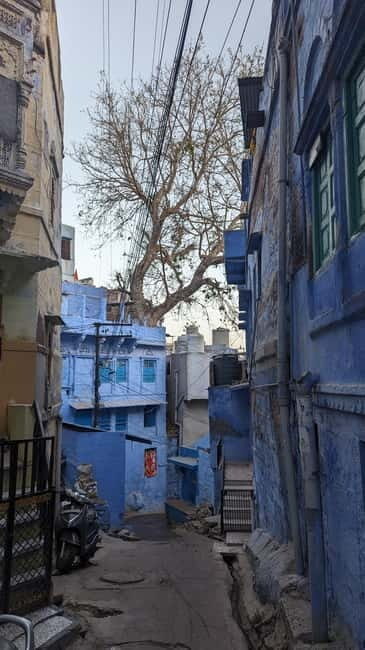Jodhpur: Mehrangarh Fort and Blue City Walking Tour - Good To Know