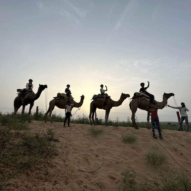 Jodhpur OvernightStay In Desert Rural Village With CamelRide - What to Expect from the Jodhpur Desert Stay