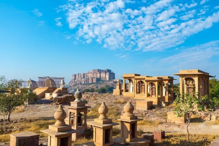 Jodhpur: Private Full-Day City Highlights Tour - Activity Description