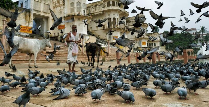 Jodhpur to Jaipur with Pushkar Pilgrimage Visit - Who Should Consider This Tour?