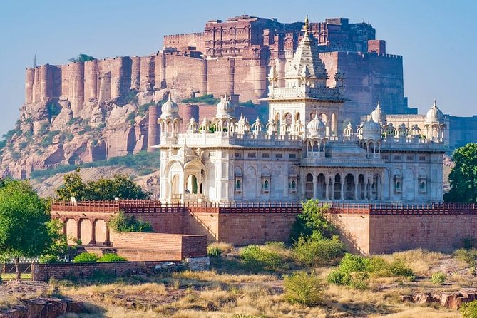 Jodphur Private Full-Day Sightseeing Tour  - Jodhpur - Tour Highlights