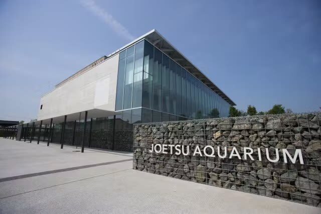 Joetsu City Aquarium Umigatari Admission Ticket (Niigata) - Meet the penguins at the Magellan Penguin Museum