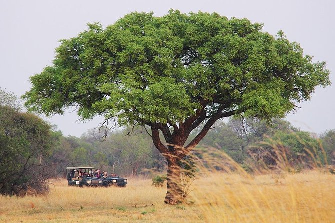 Johannesburg Like a Local: Customized Private Tour - Tour Details