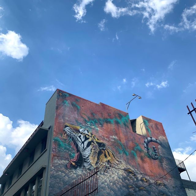 Johannesburg: Maboneng Street Art and Street Food Tour - Customer Reviews