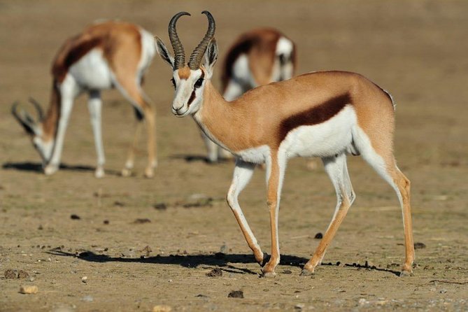 Johannesburg to Cape Town 10-Day Private Safari Tour - Cancellation Policy
